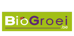 Traduction de site, website vertaling, web site translation